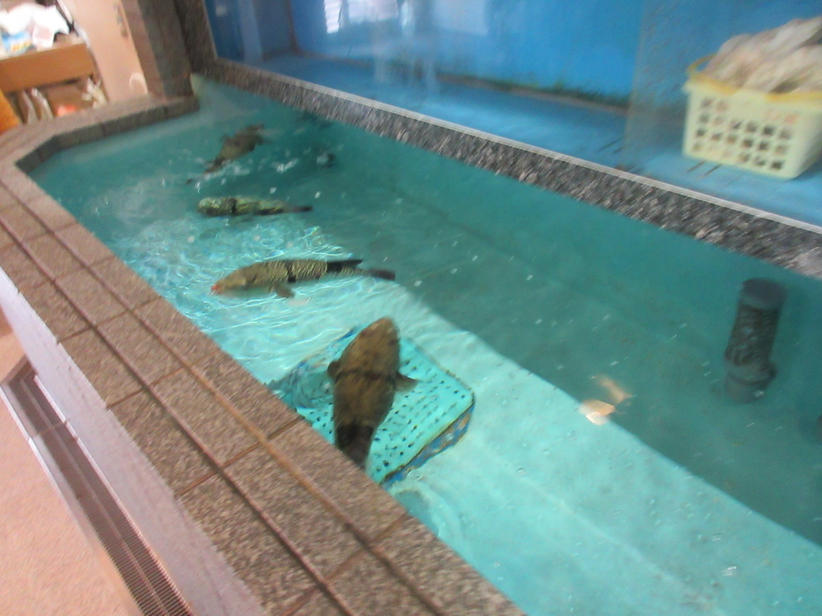 f:id:hirailand:20211119004218j:plain