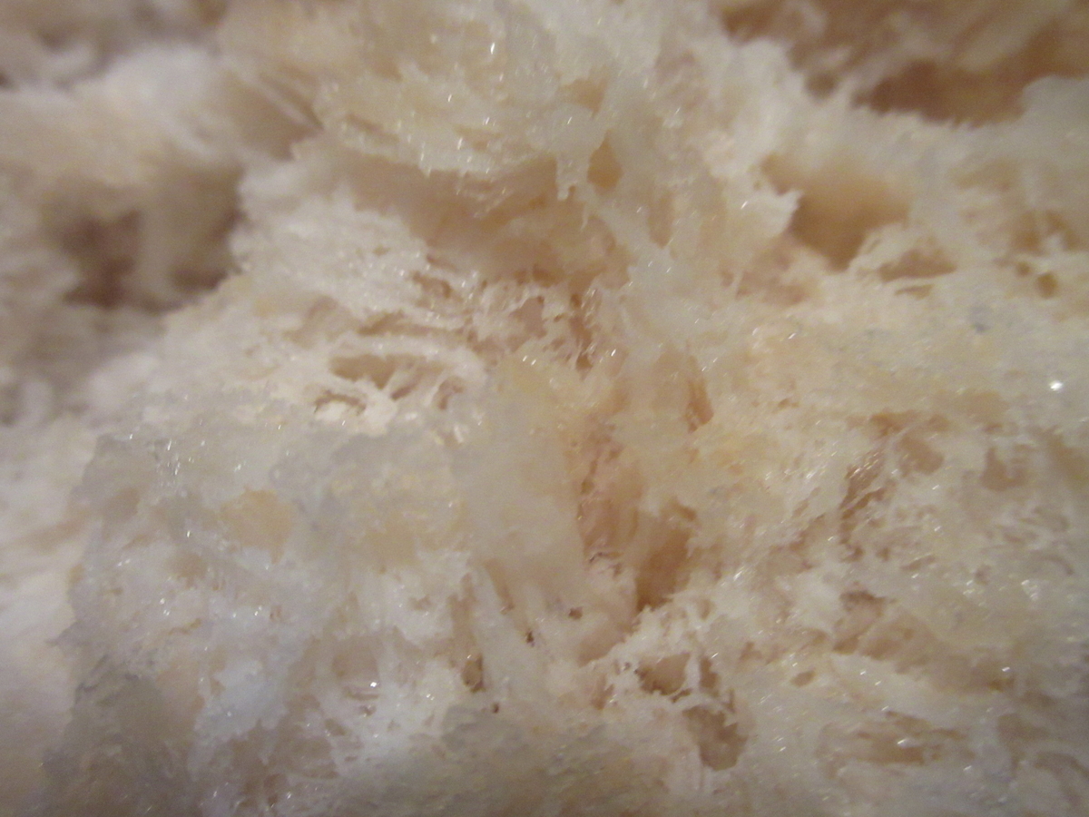 f:id:hirailand:20211222004855j:plain