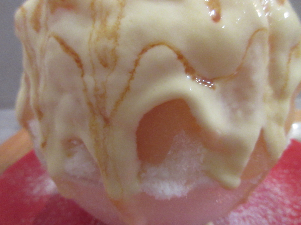 f:id:hirailand:20211229012314j:plain