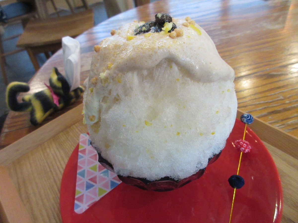 f:id:hirailand:20220107011308j:plain