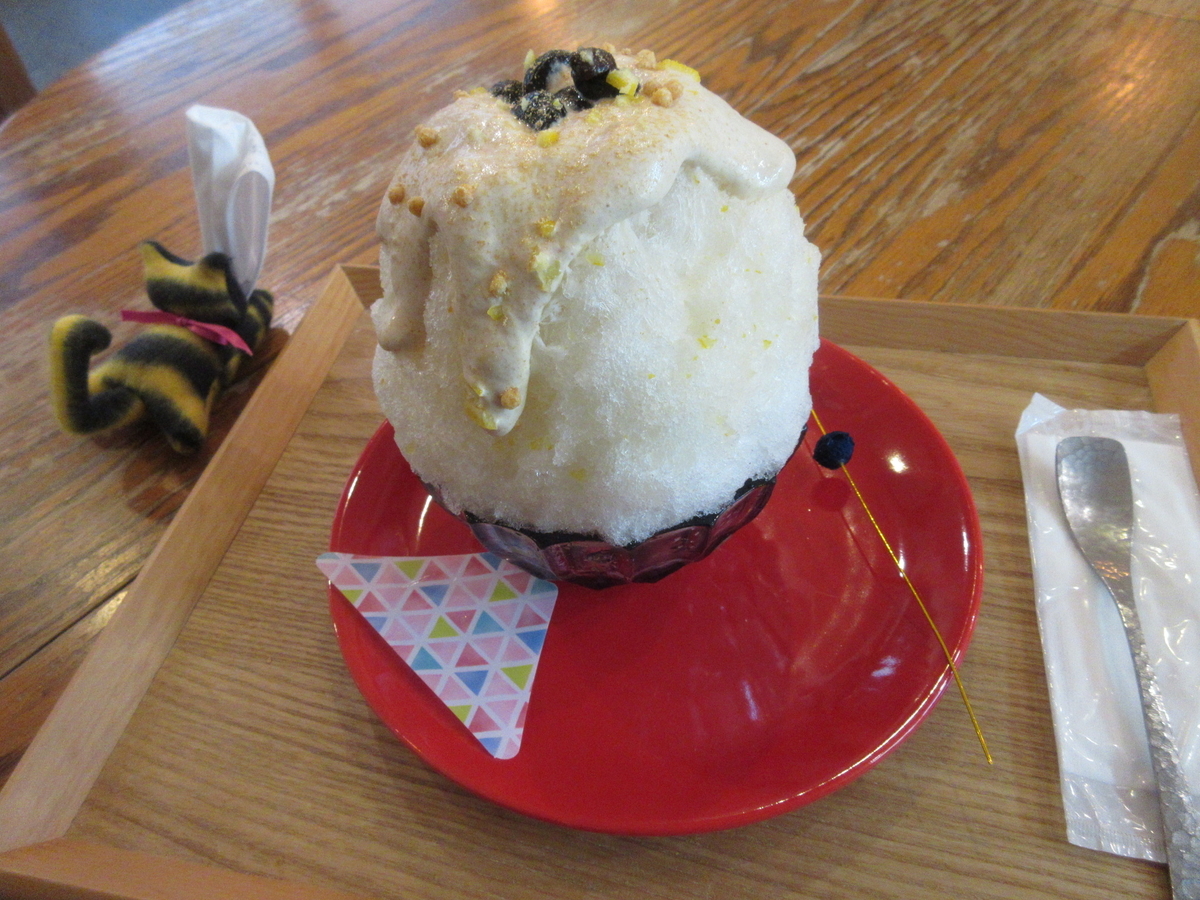 f:id:hirailand:20220107012138j:plain