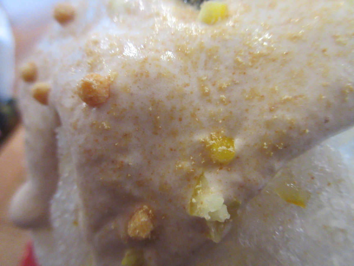 f:id:hirailand:20220107012154j:plain