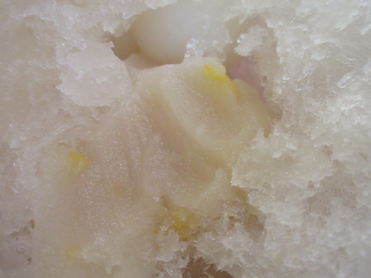 f:id:hirailand:20220107012413j:plain