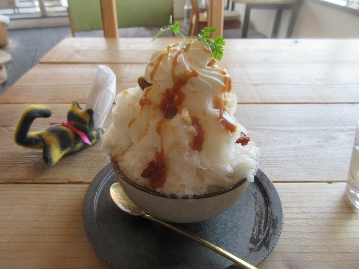 f:id:hirailand:20220117235310j:plain