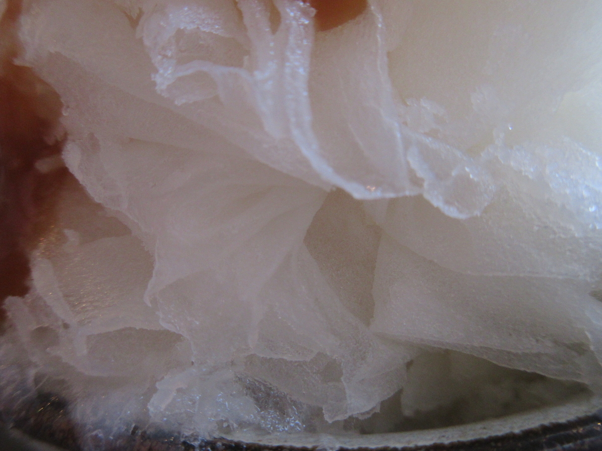 f:id:hirailand:20220117235406j:plain