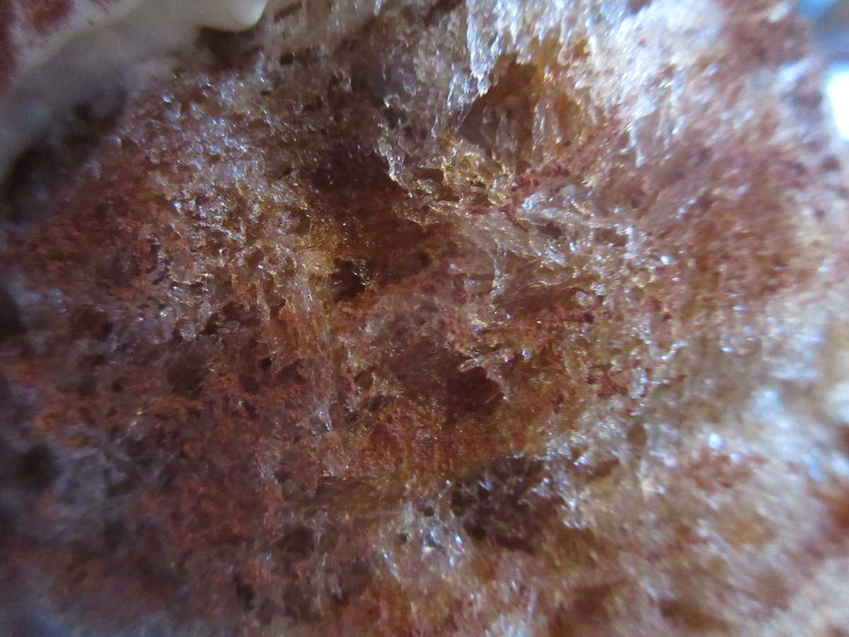 f:id:hirailand:20220125010724j:plain