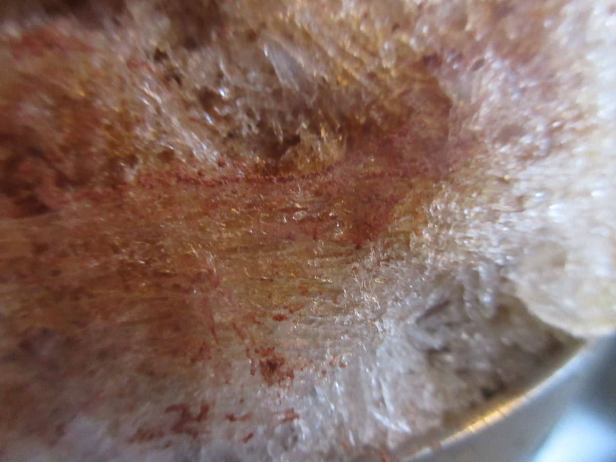 f:id:hirailand:20220125010812j:plain