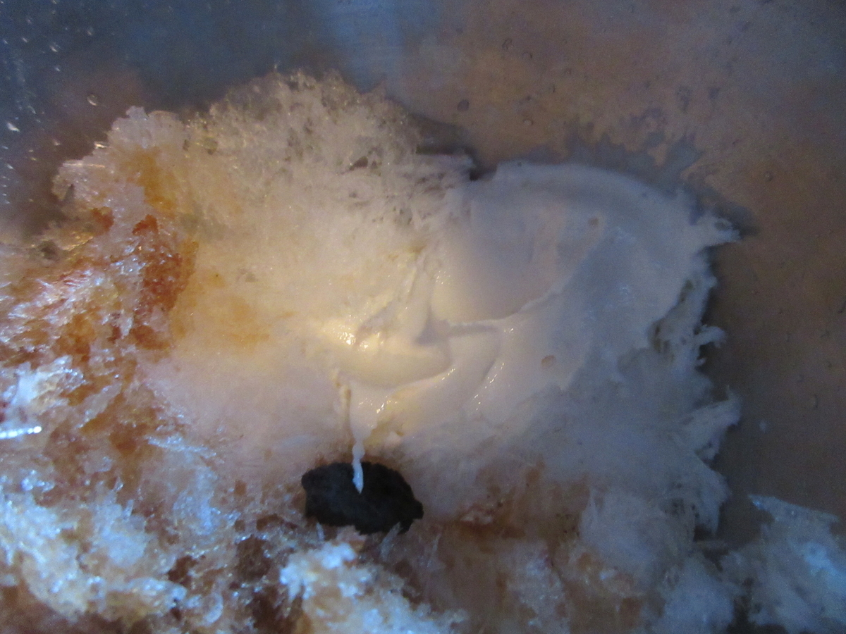 f:id:hirailand:20220125010905j:plain