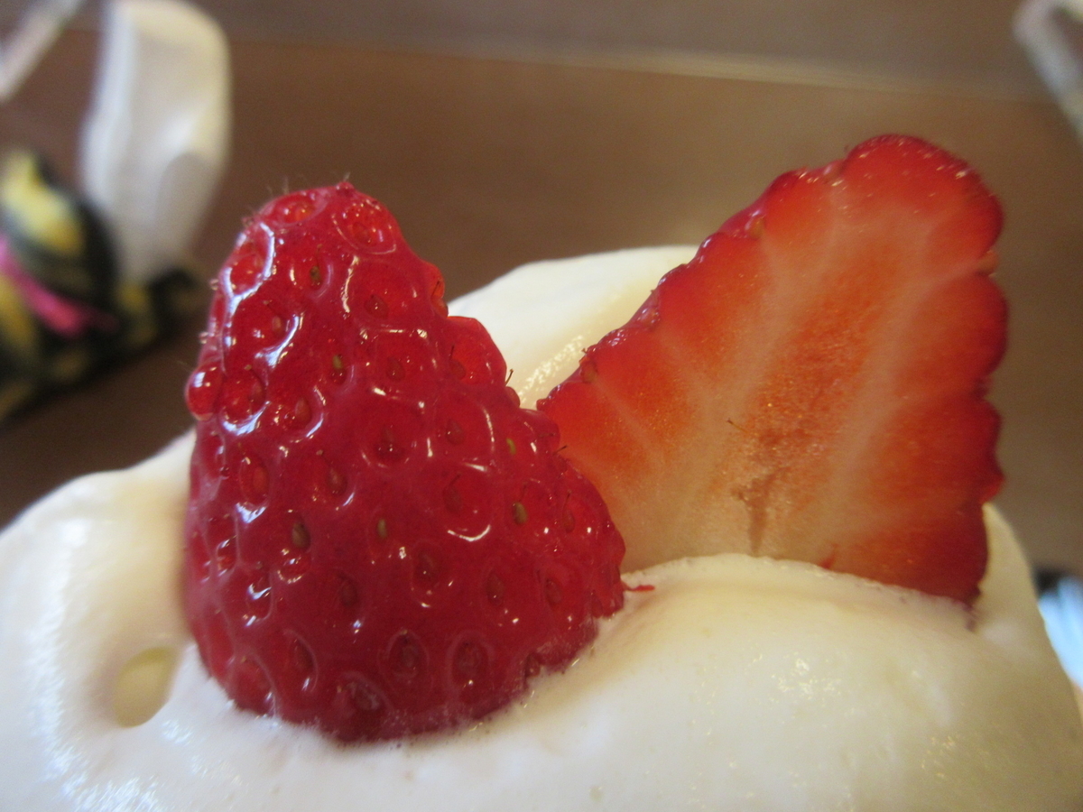 f:id:hirailand:20220409021146j:plain