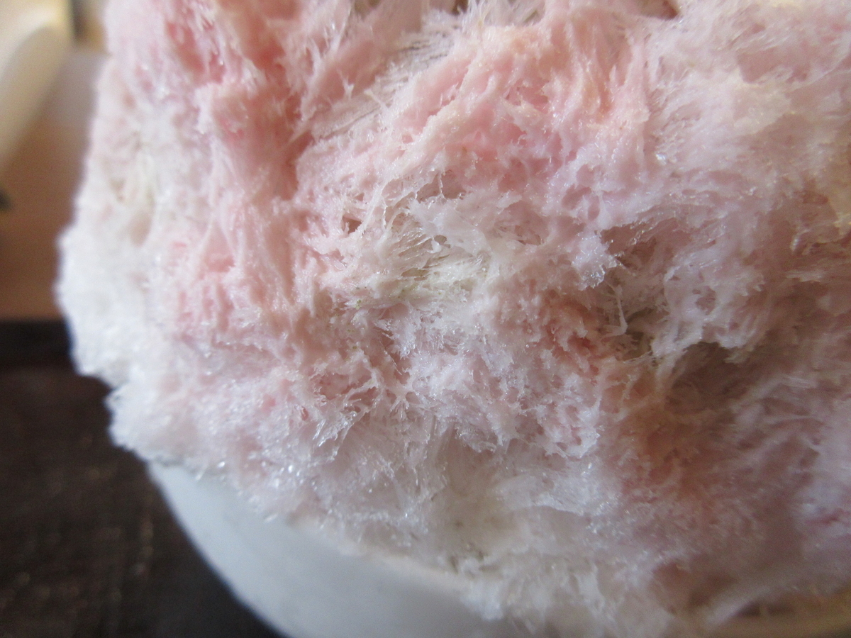 f:id:hirailand:20220409021201j:plain