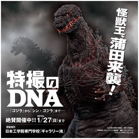 f:id:hiraisin:20190306160634j:image:w264