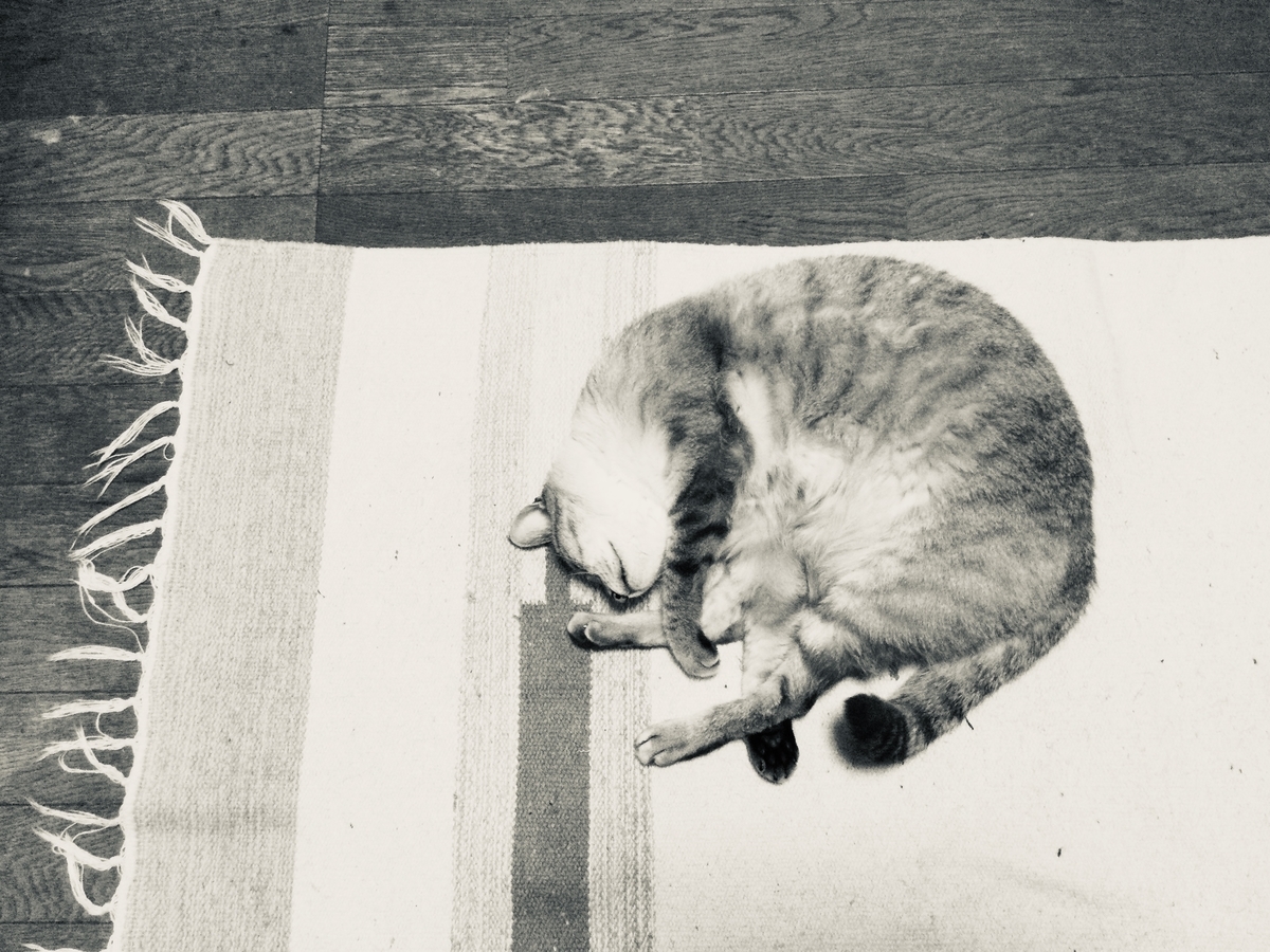 f:id:hirakawa12:20210409184026j:plain