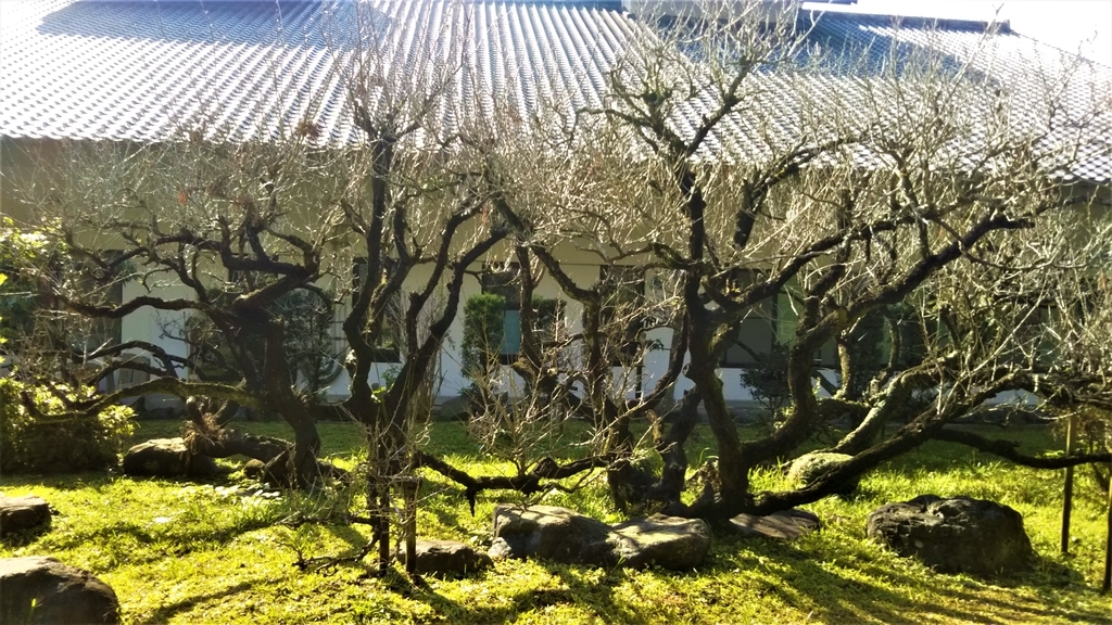 萬歳亭はなれ（舞鶴公園）