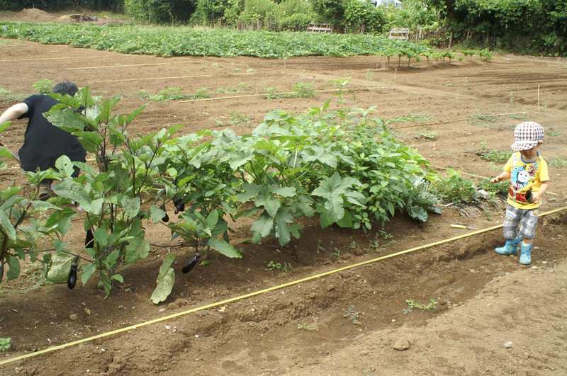 20120808_a 20120808_a