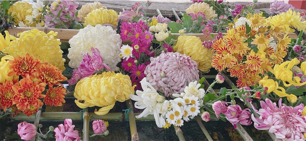 f:id:hirame-v-v:20211105132125j:image
