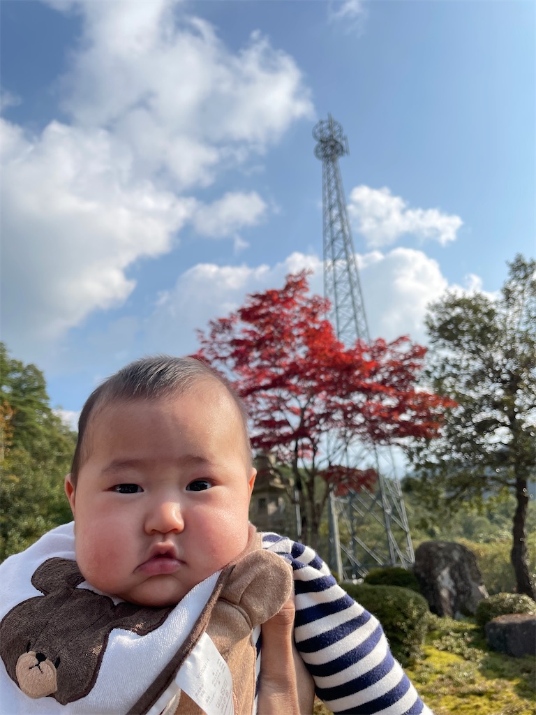 f:id:hirame-v-v:20211105132216j:image