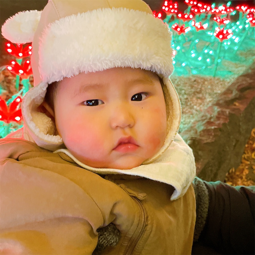 f:id:hirame-v-v:20211221003945j:image