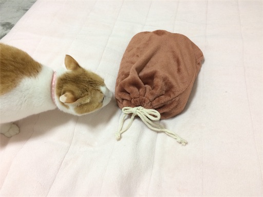 f:id:hirame3594:20201126163908j:image f:id:hirame3594:20201126163908j:image