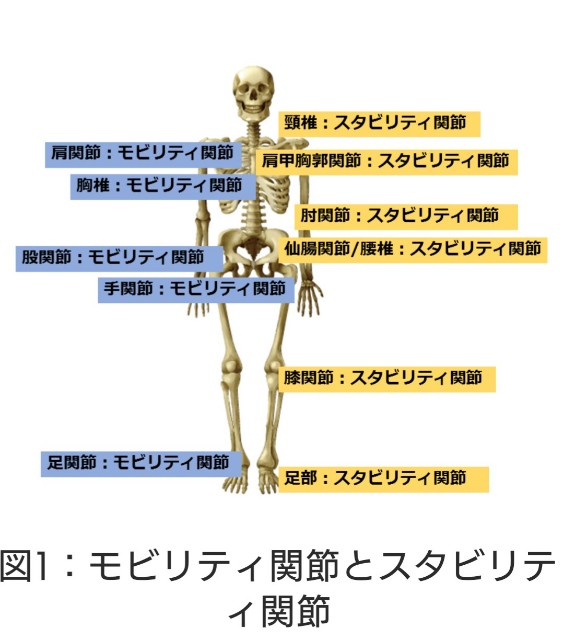 f:id:hiranotakashi:20190206205453j:image f:id:hiranotakashi:20190206205453j:image