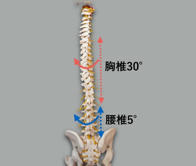 f:id:hiranotakashi:20190206211408j:image f:id:hiranotakashi:20190206211408j:image