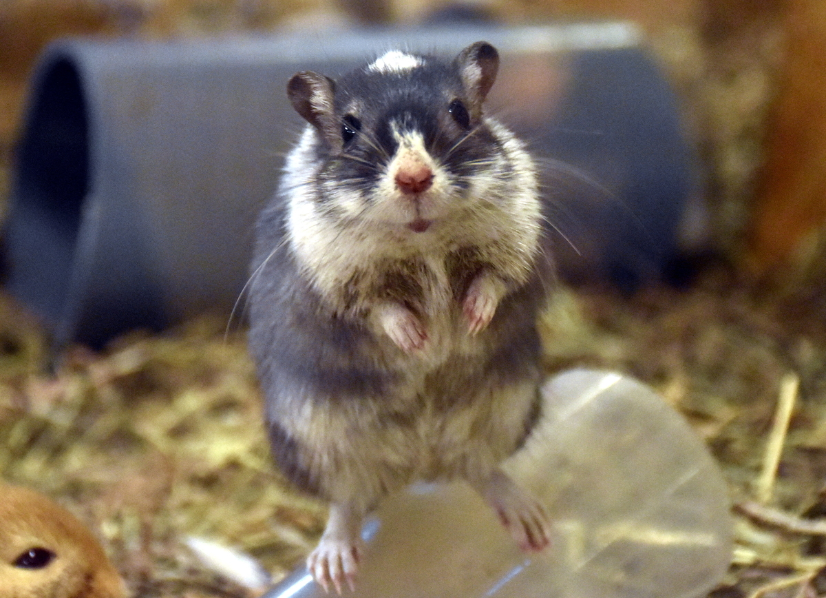 手 ちっちゃすぎませんか カメラ目線でお願いします