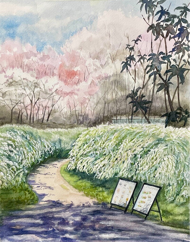 今日の水彩画 - hirarinbox's diary（ひらりん気まま日記）