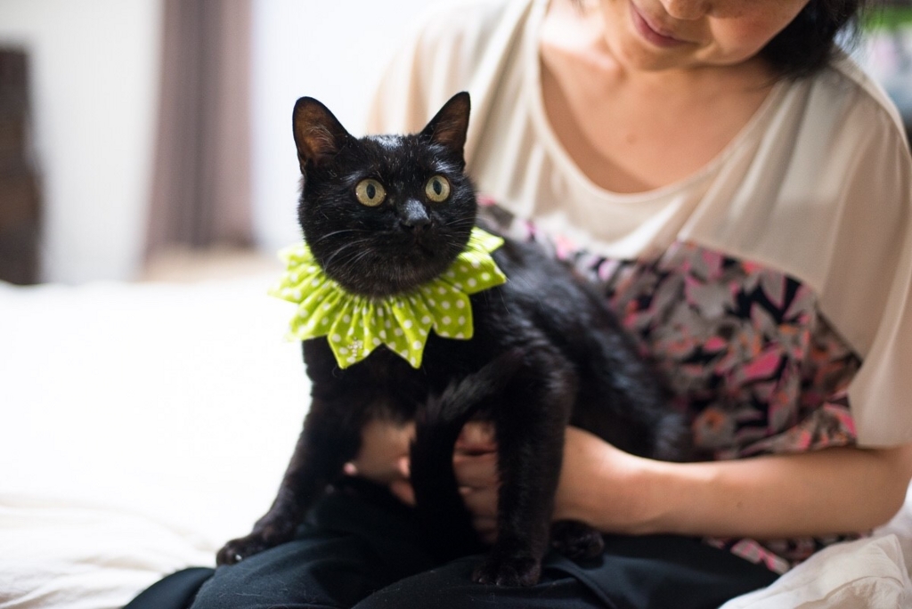 f:id:hiraryo0201:20160615092250j:plain f:id:hiraryo0201:20160615092250j:plain