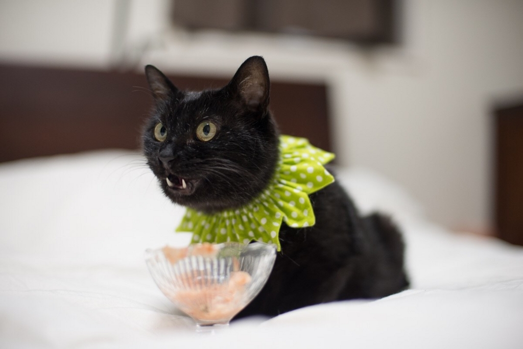 f:id:hiraryo0201:20160615092258j:plain f:id:hiraryo0201:20160615092258j:plain