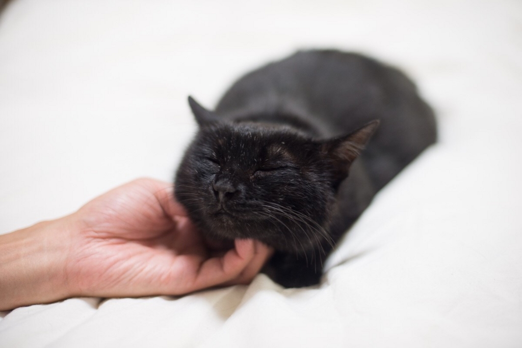 f:id:hiraryo0201:20160615092301j:plain f:id:hiraryo0201:20160615092301j:plain