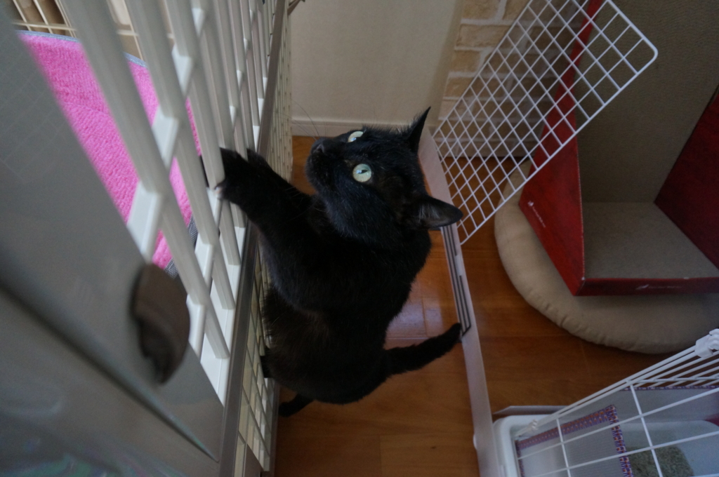 f:id:hiraryo0201:20160618131941j:plain