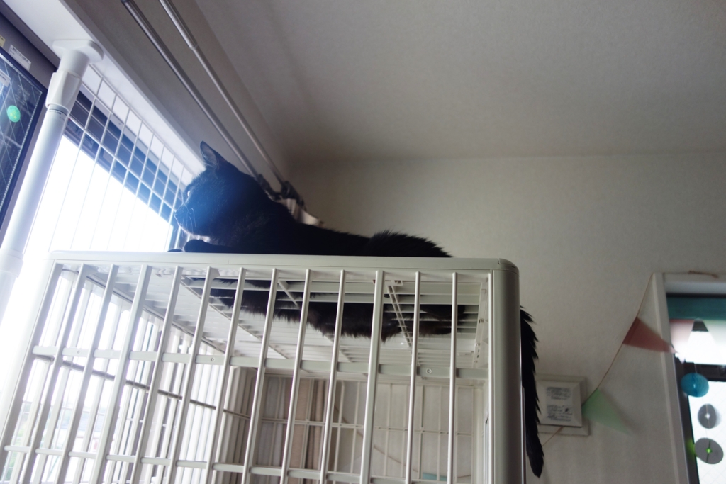 f:id:hiraryo0201:20160621115526j:plain