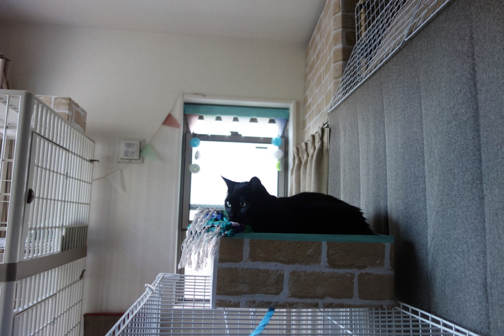 f:id:hiraryo0201:20160621115817j:plain