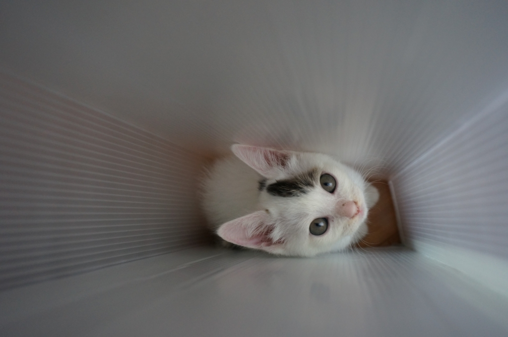 f:id:hiraryo0201:20160621121302j:plain