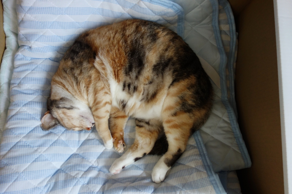 f:id:hiraryo0201:20160621122954j:plain