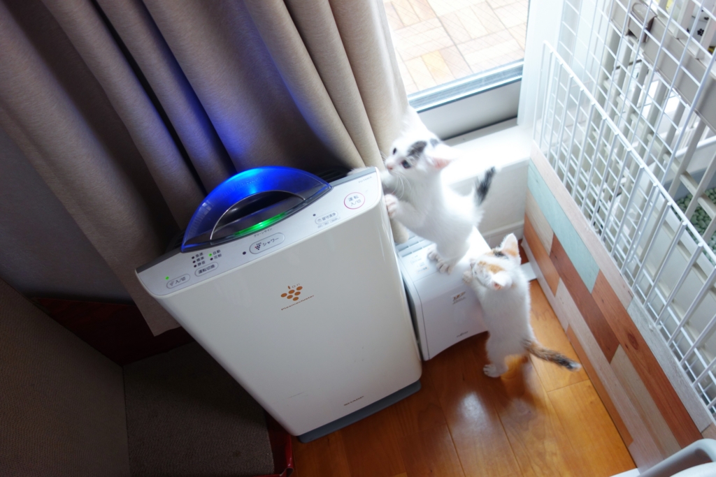 f:id:hiraryo0201:20160624092424j:plain