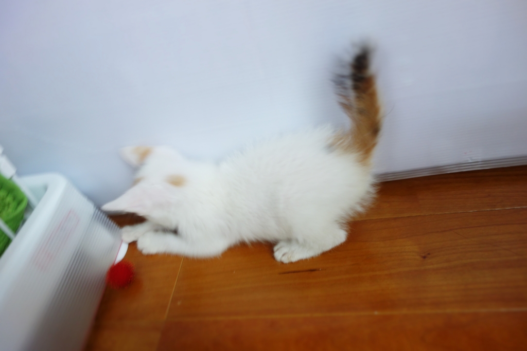 f:id:hiraryo0201:20160624092722j:plain