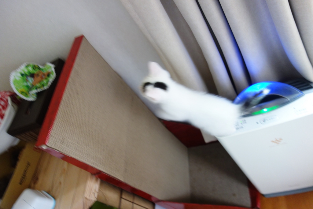 f:id:hiraryo0201:20160624093745j:plain