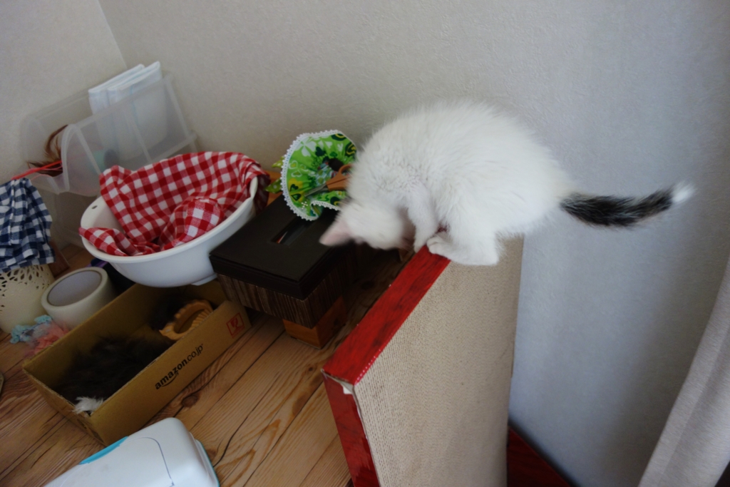 f:id:hiraryo0201:20160624093936j:plain