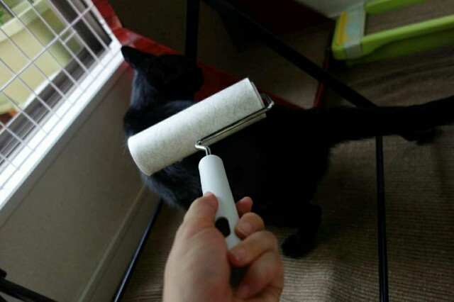 f:id:hiraryo0201:20160706112107j:plain