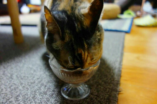 f:id:hiraryo0201:20160706112116j:plain