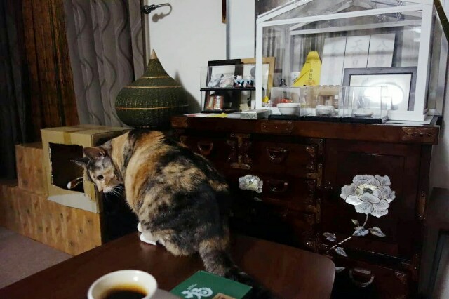 f:id:hiraryo0201:20160706112907j:image f:id:hiraryo0201:20160706112907j:image