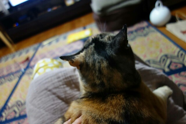 f:id:hiraryo0201:20160706113144j:image f:id:hiraryo0201:20160706113144j:image