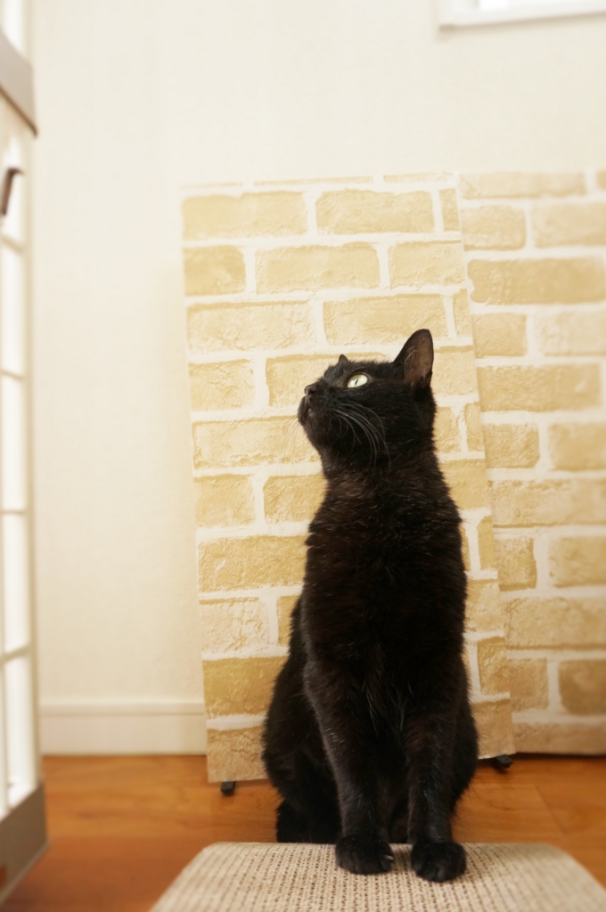 f:id:hiraryo0201:20160706125521j:plain