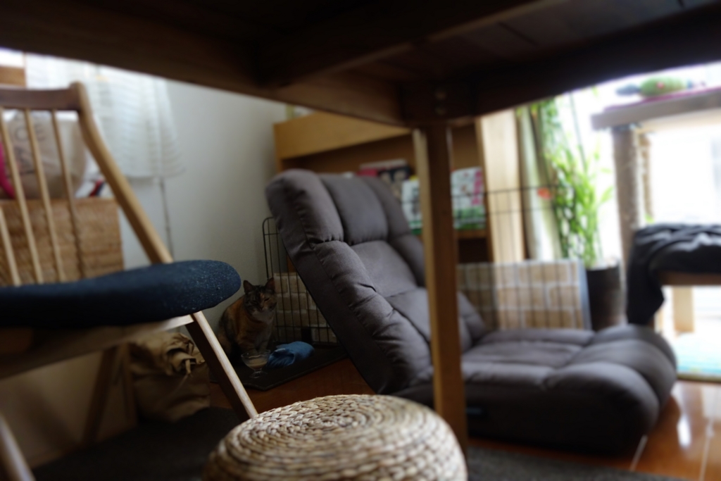 f:id:hiraryo0201:20160721092249j:plain