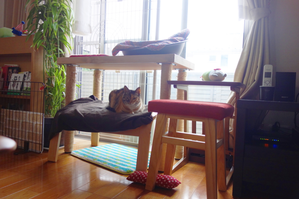 f:id:hiraryo0201:20160725093514j:plain f:id:hiraryo0201:20160725093514j:plain