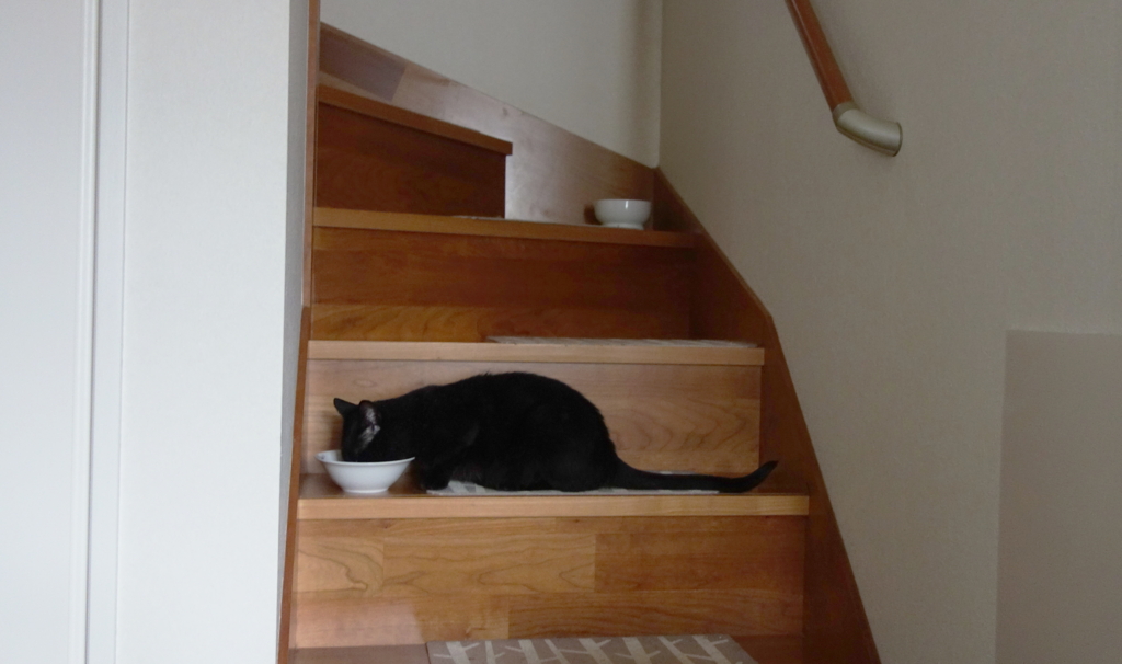 f:id:hiraryo0201:20160725093604j:plain f:id:hiraryo0201:20160725093604j:plain