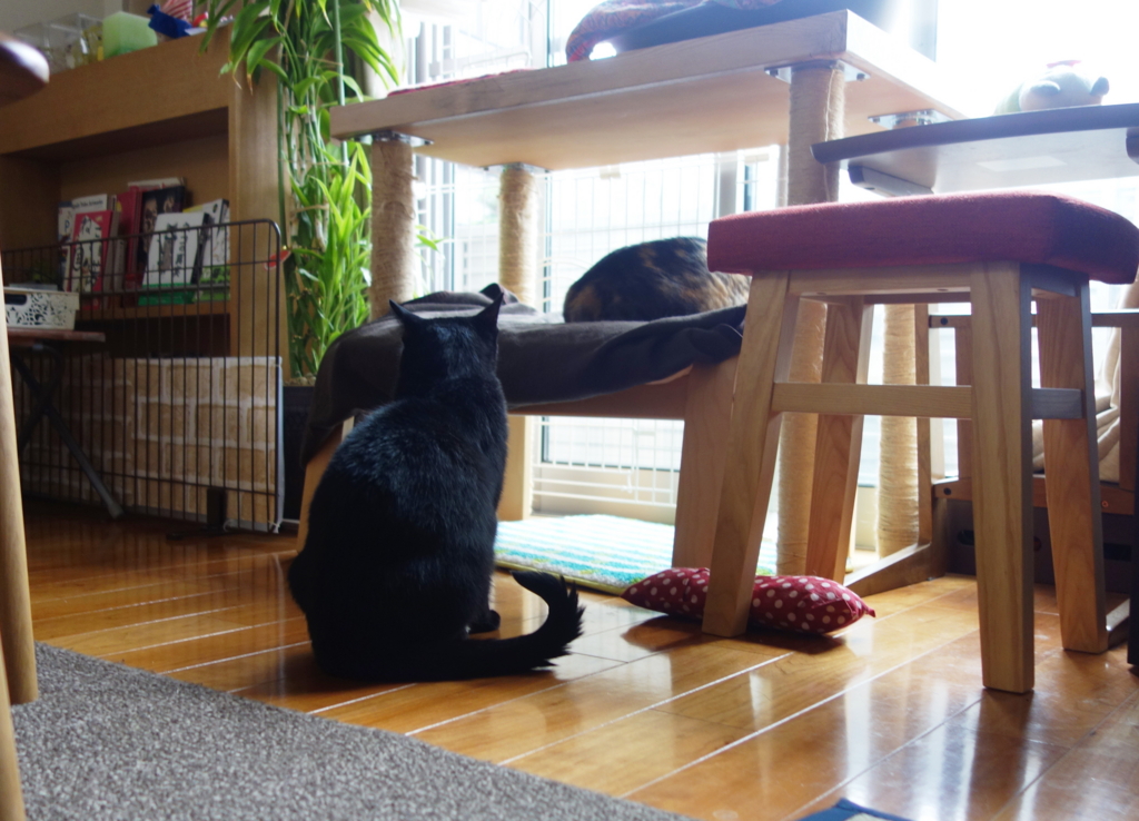 f:id:hiraryo0201:20160725093903j:plain f:id:hiraryo0201:20160725093903j:plain