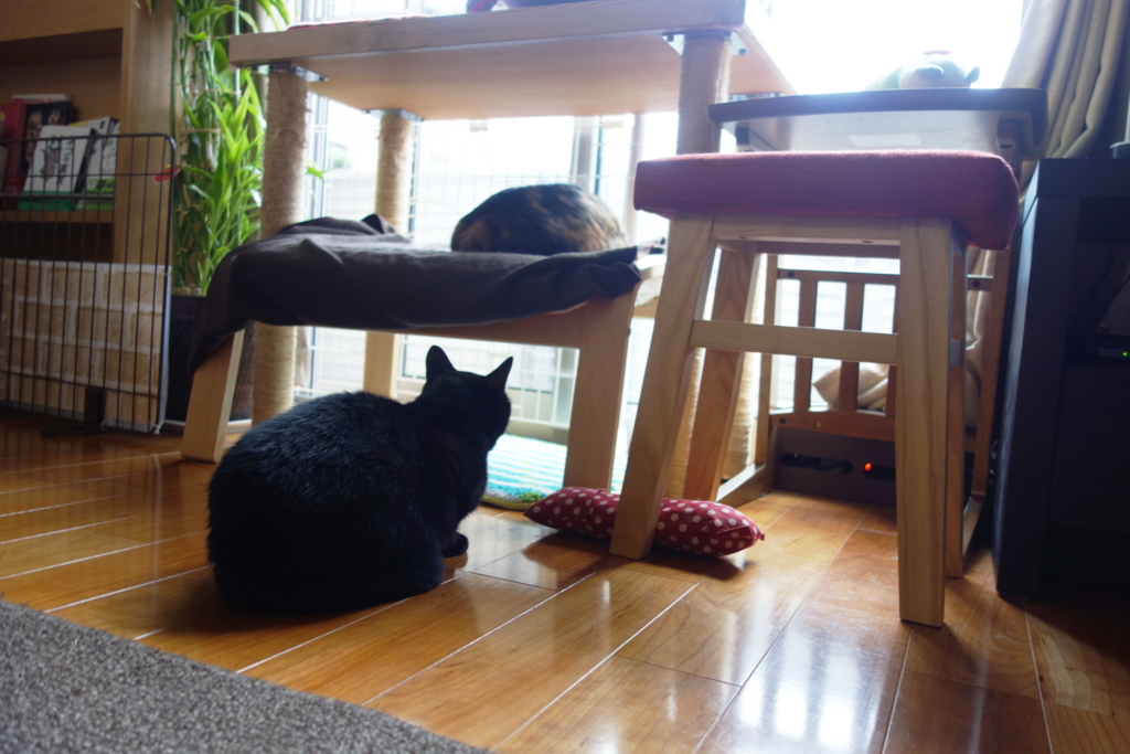 f:id:hiraryo0201:20160725094026j:plain f:id:hiraryo0201:20160725094026j:plain