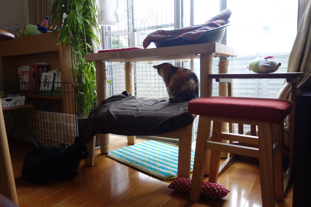 f:id:hiraryo0201:20160725094226j:plain f:id:hiraryo0201:20160725094226j:plain