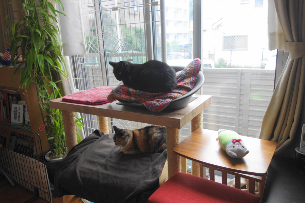 f:id:hiraryo0201:20160725094712j:plain f:id:hiraryo0201:20160725094712j:plain